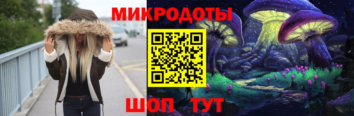Галлюциногенные грибы Psilocybe Ступино